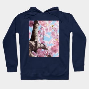 Aesthetic Cherry Blossom Hoodie